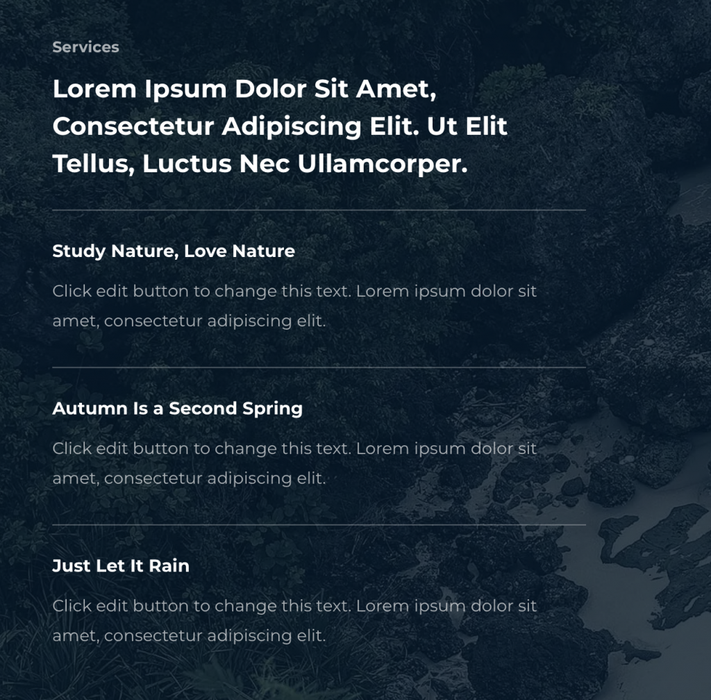 A web site full of Lorem ipsum body text